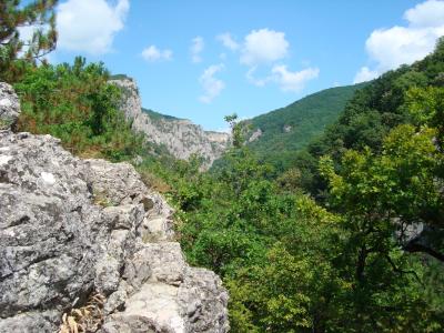 Прикрепленное изображение: DSC09920.JPG